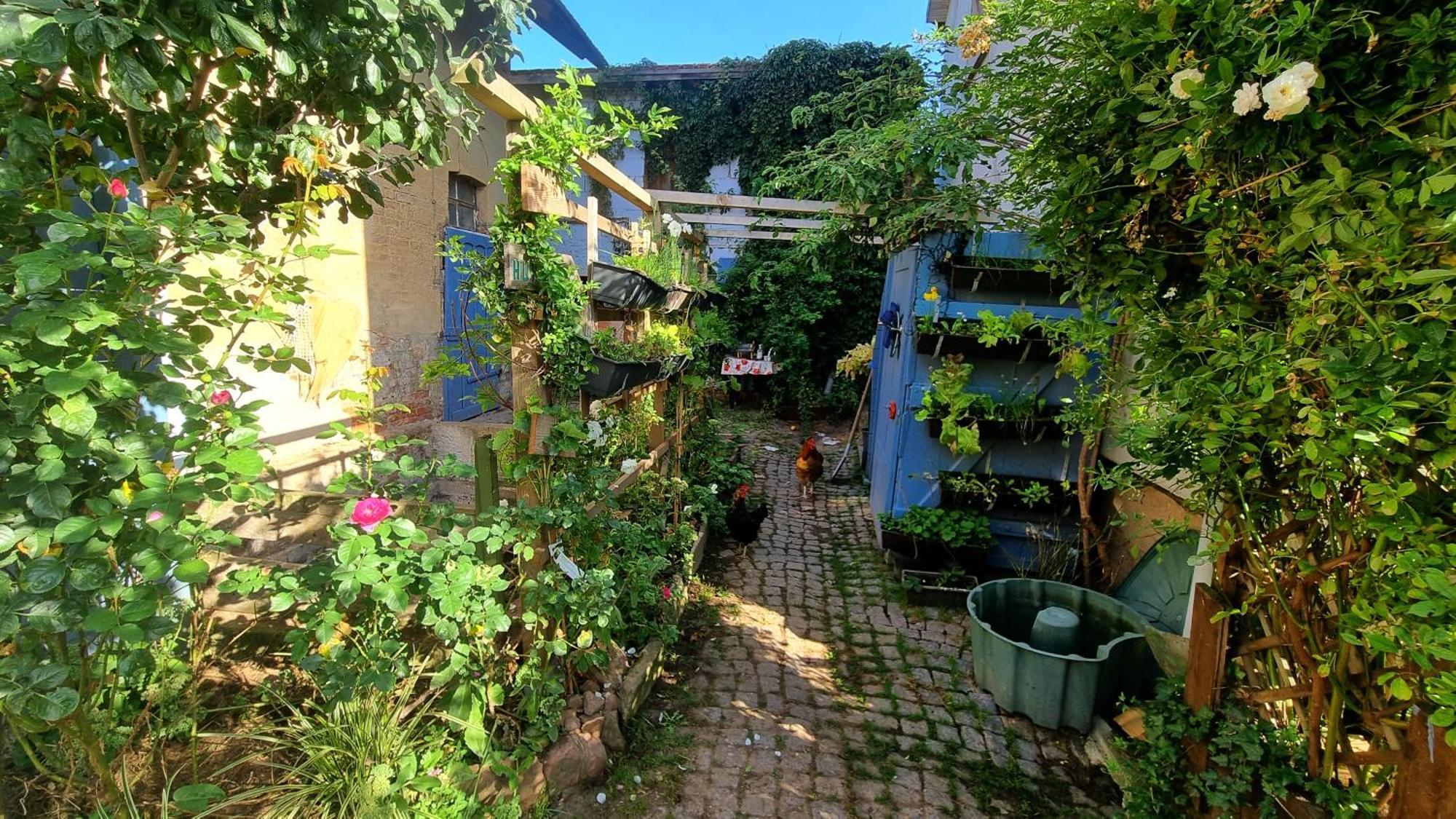 Bauernhof Gästezimmer Hortus Sandrine Gemeinschaftsbad Hausbreitenbach Exterior foto